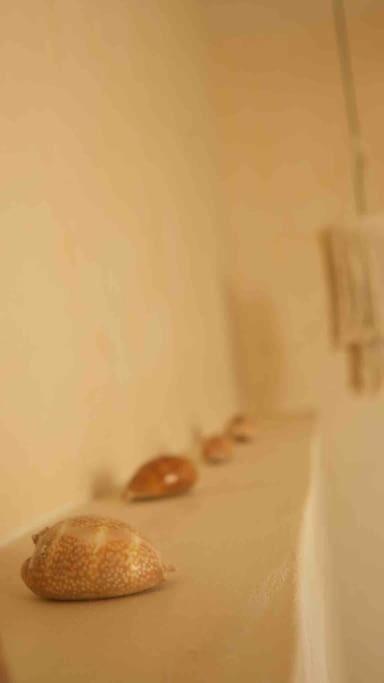 Disfruta En La Casa De Lola / Enjoy At Lolas House Progreso (Yucatan) Exterior foto