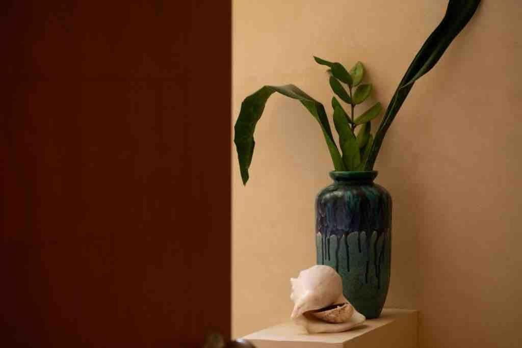 Disfruta En La Casa De Lola / Enjoy At Lolas House Progreso (Yucatan) Exterior foto